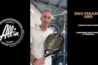 découvrez le secret du siux pegasus oro chez all in