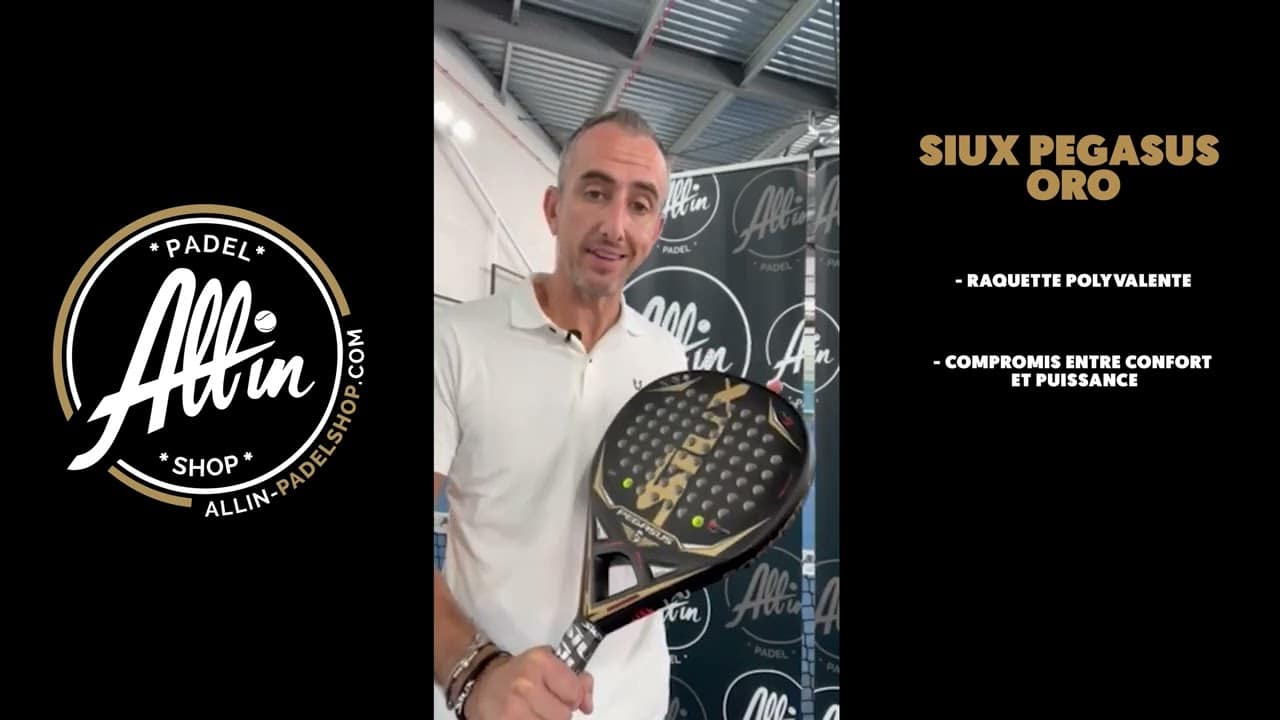 découvrez le secret du siux pegasus oro chez all in